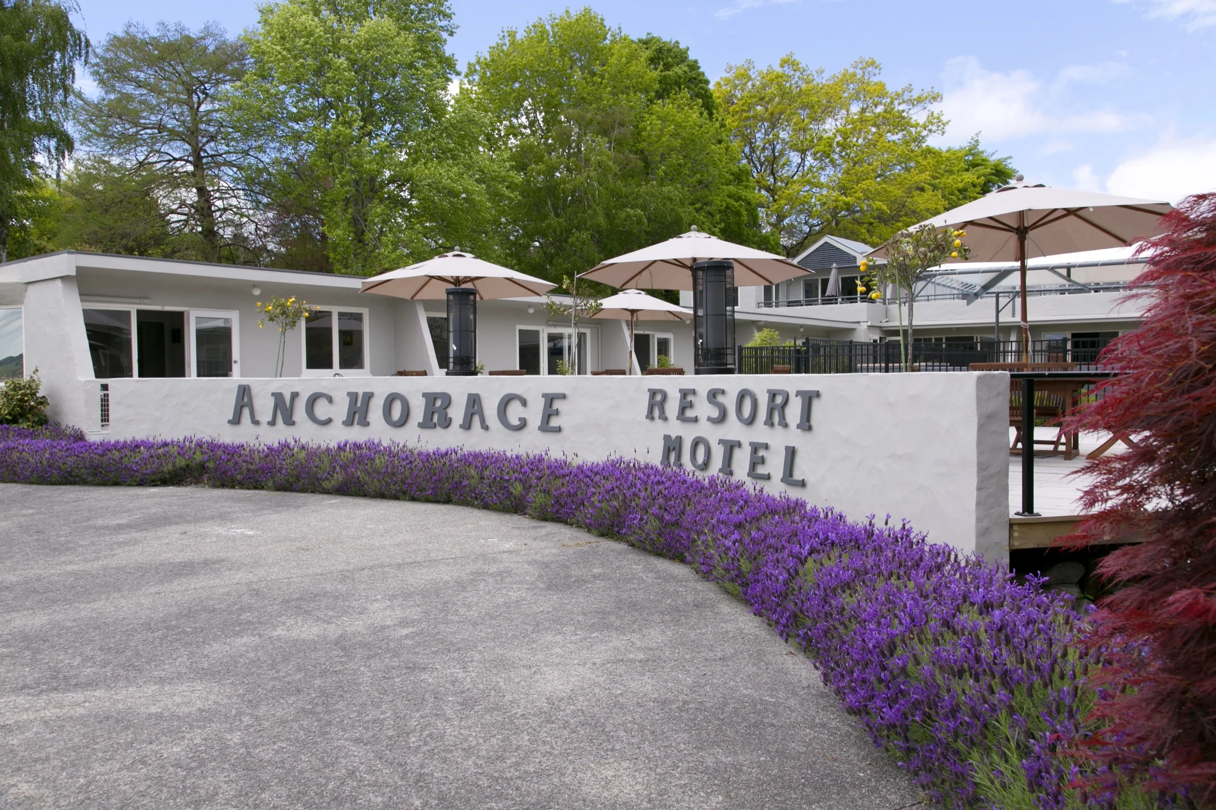 Front sign with Lavender in flower 2-min.jpg