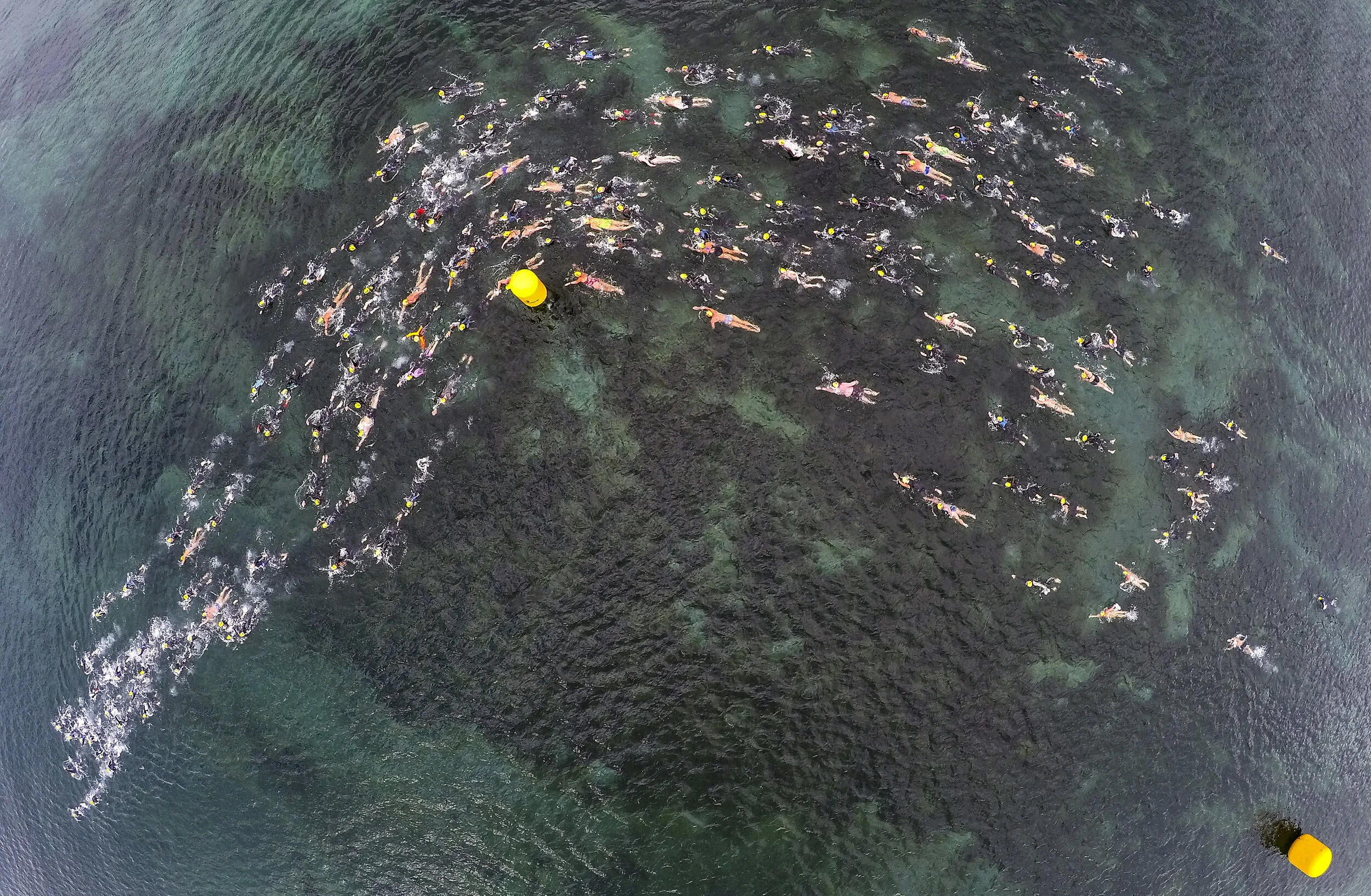 Epic Swim Lake Taupo 2021