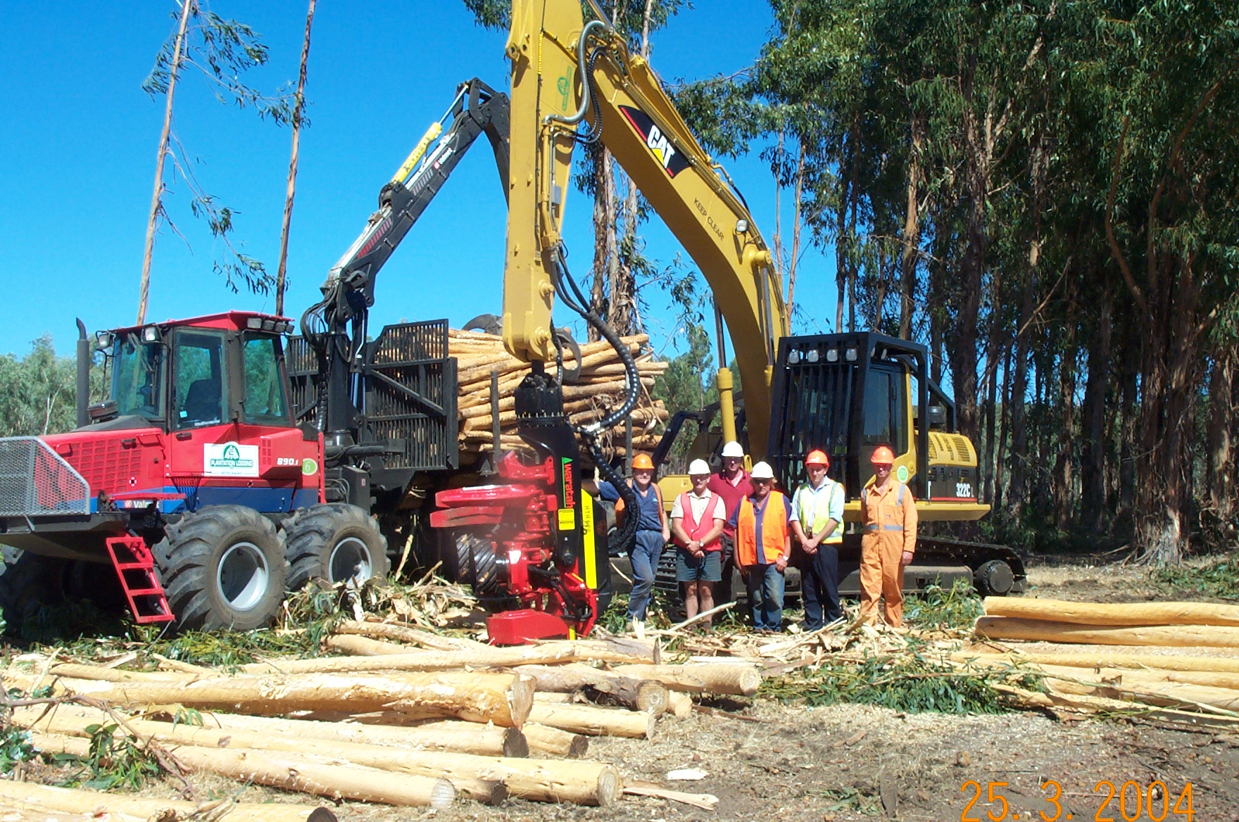Waratah - Plantation Logging - 2.jpg