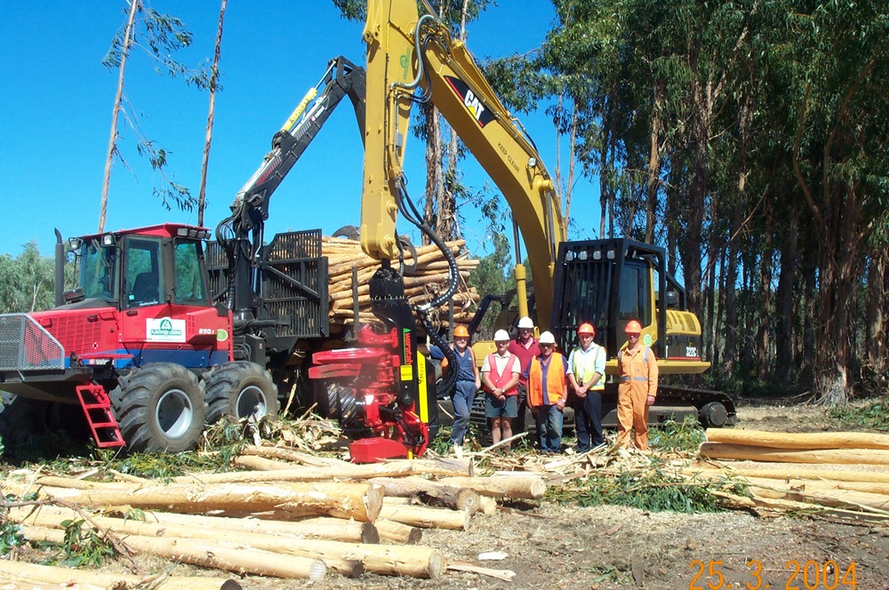 Waratah+-+Plantation+Logging+-+2.jpg