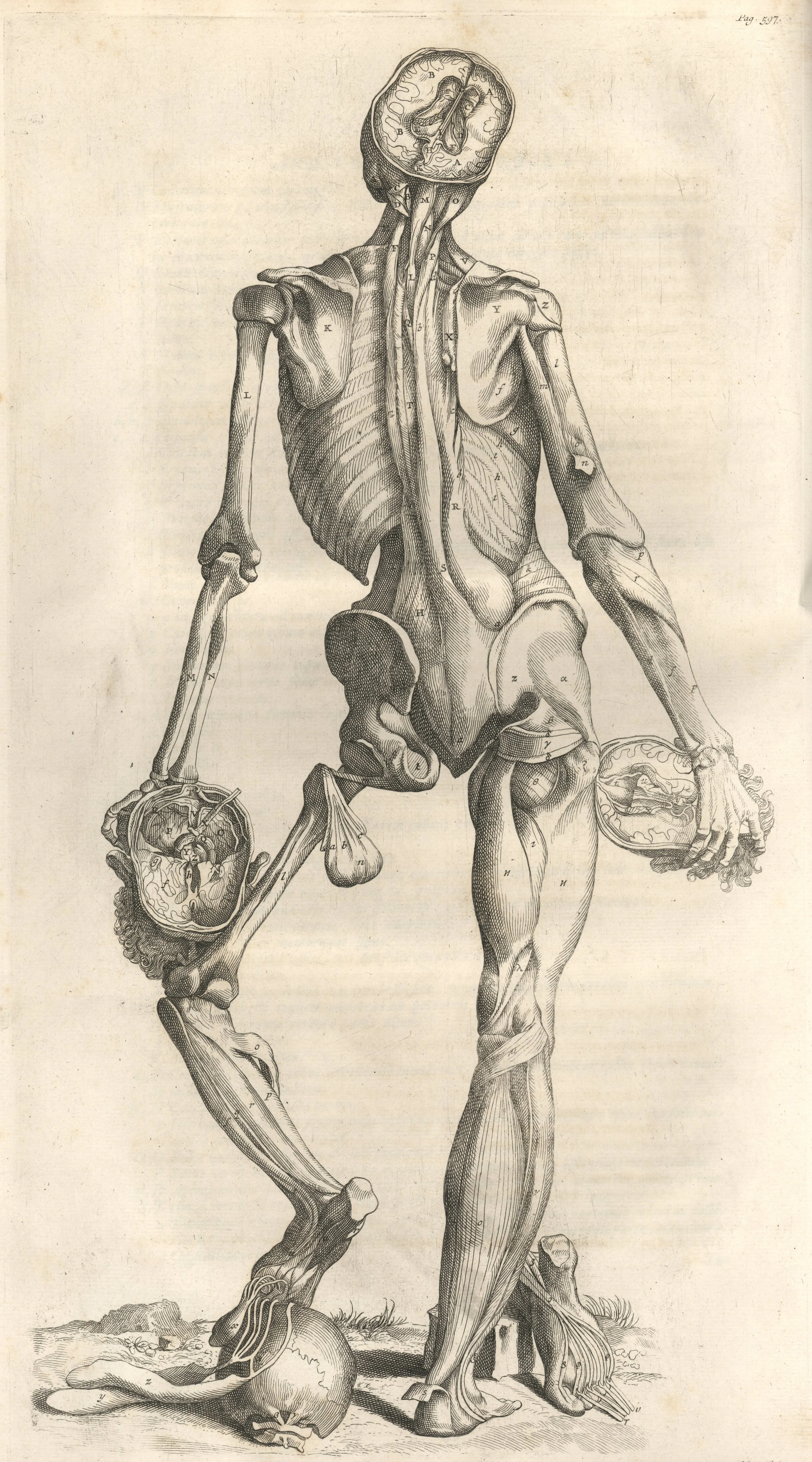 VesaliusOpera1725plate597.jpg