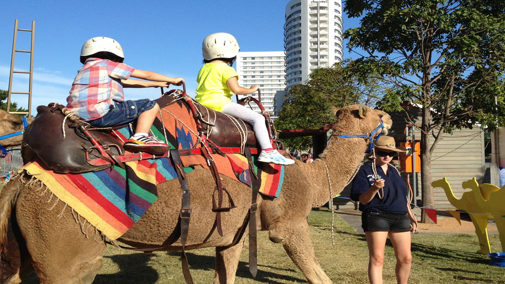 CamelRide.jpg