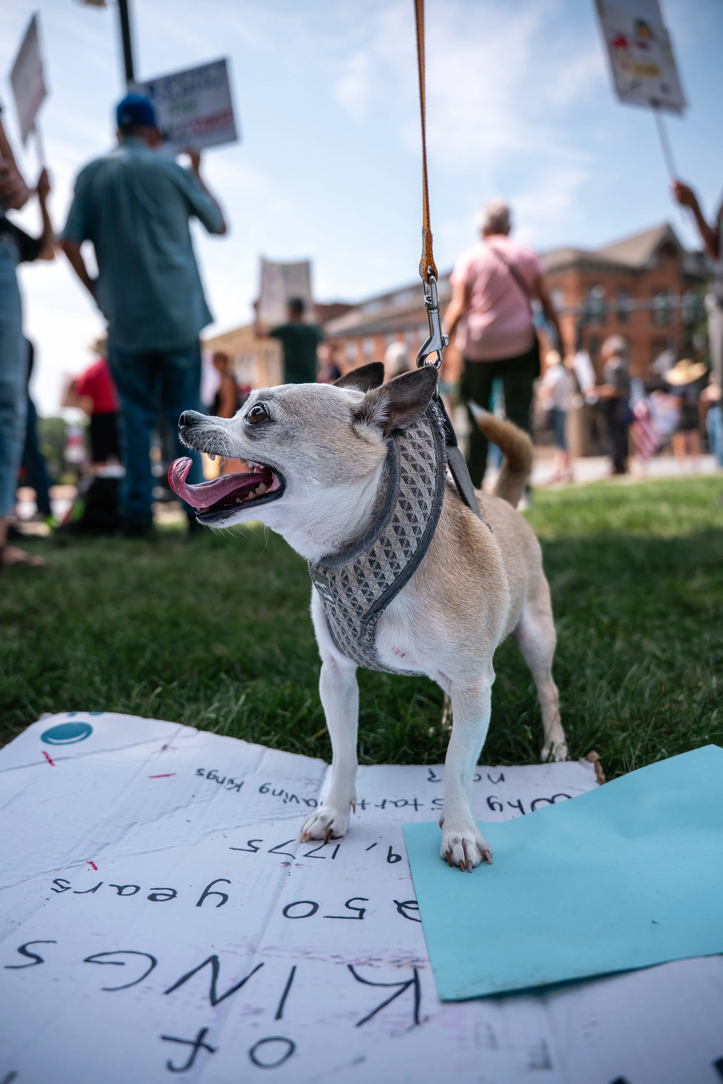 Glens Falls | No Kings Day | 8.15.25