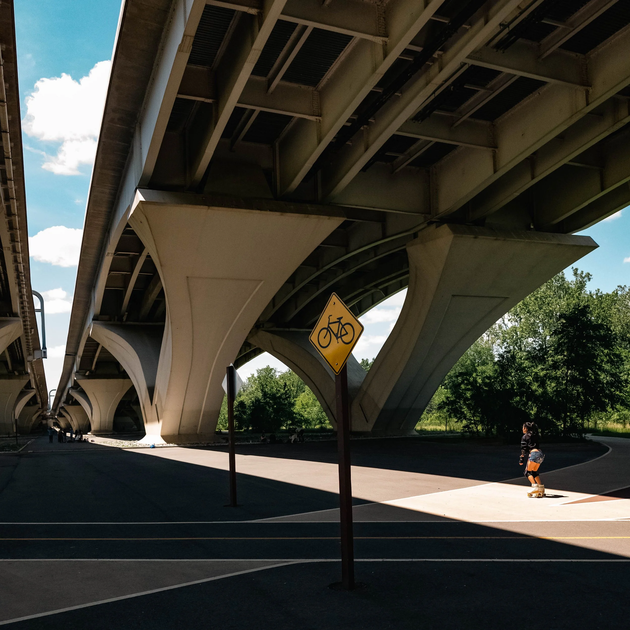 Bark Eater Photo | Street Photography