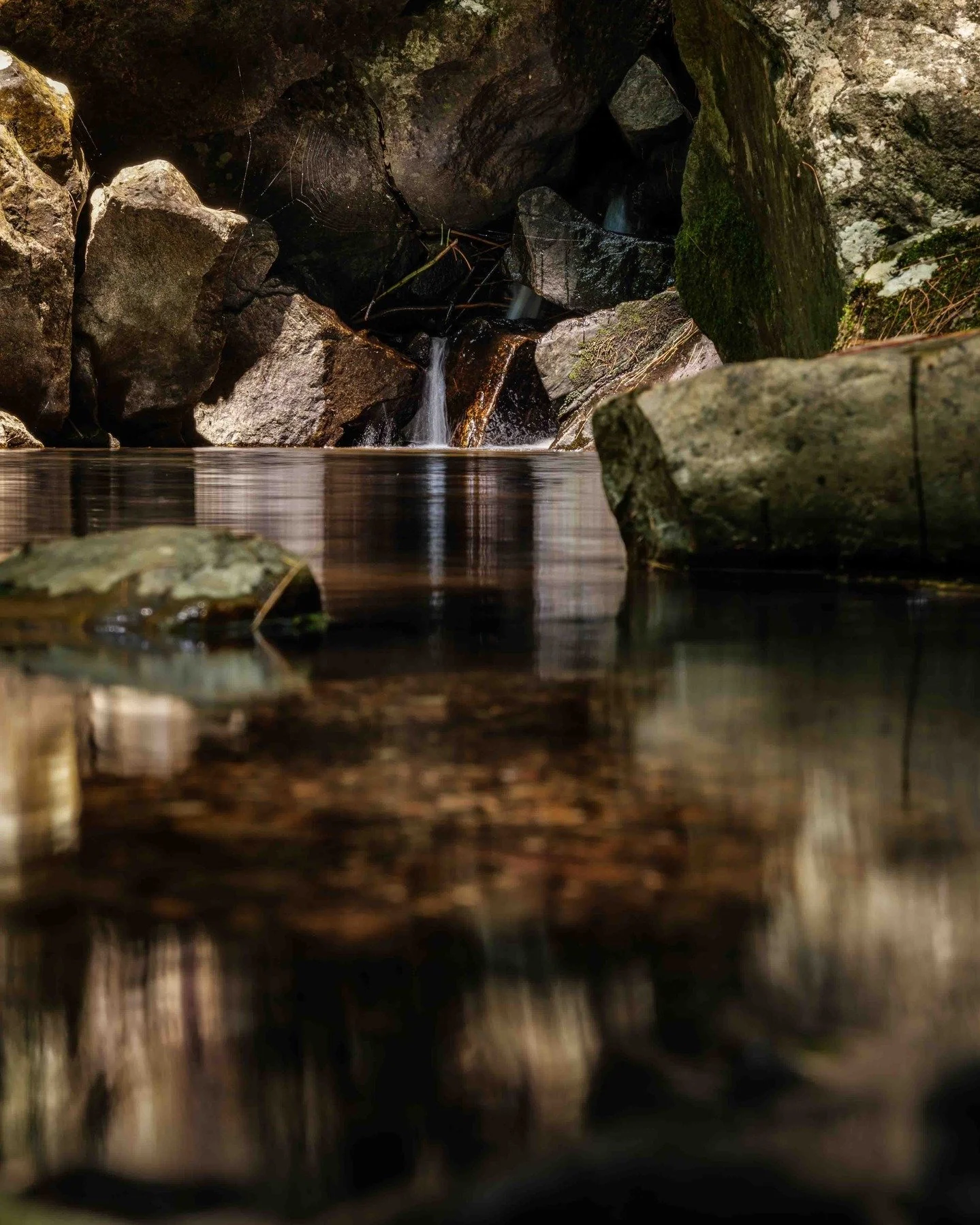 𝙰 𝚂𝚘𝚏𝚝𝚎𝚛 𝙲𝚞𝚛𝚛𝚎𝚗𝚝

Downstream of Shelving Rock Falls, the current relaxes, holding the light in calm fragments. 

Thinking of this stretch of water while Upstate sits under snow, saving its green for later.

#Adirondacks
#ShelvingRockFal