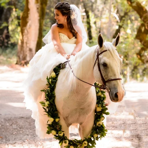EQUESTRIAN ELEGANCE