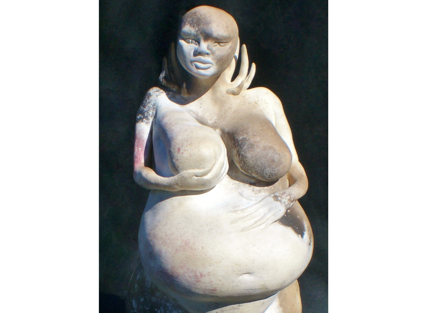 'Southern Sky Woman' by Carolyn Warren-Langford