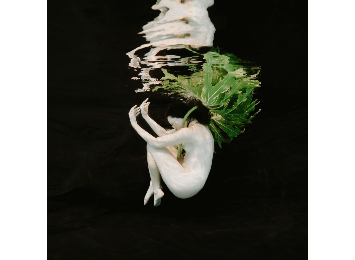 'Let Go' by Jasmine Sky