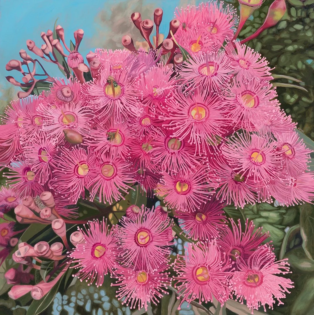 focus on stacy gardoll