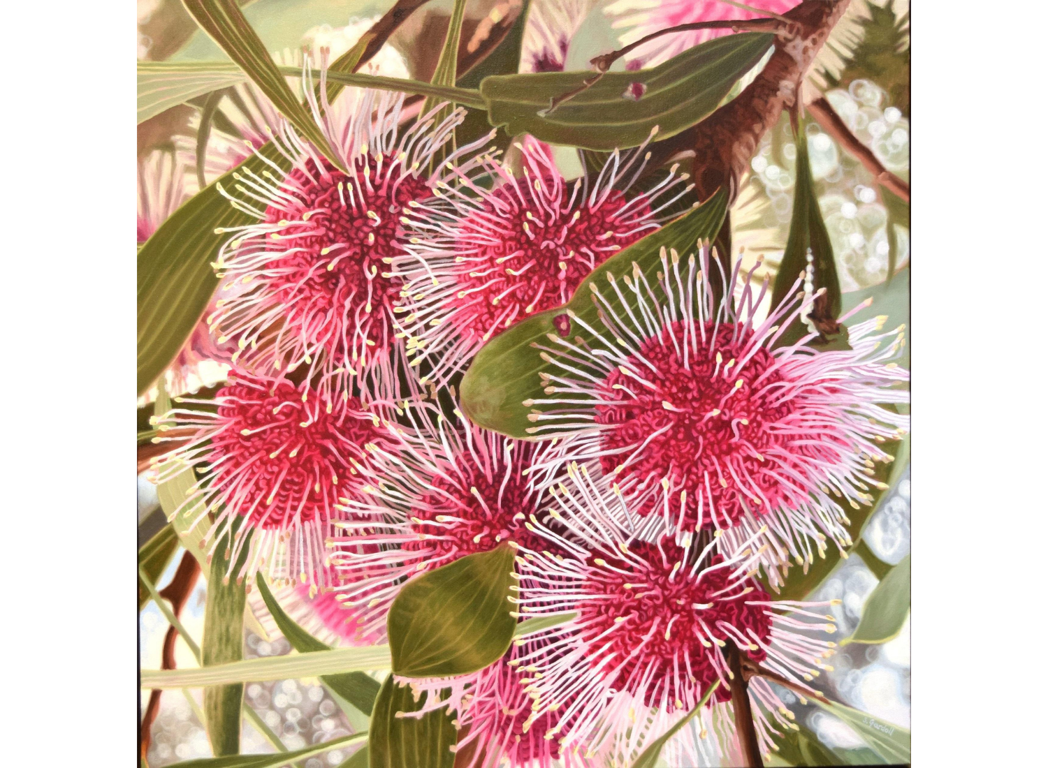 'Introspection' by Stacey Gardoll