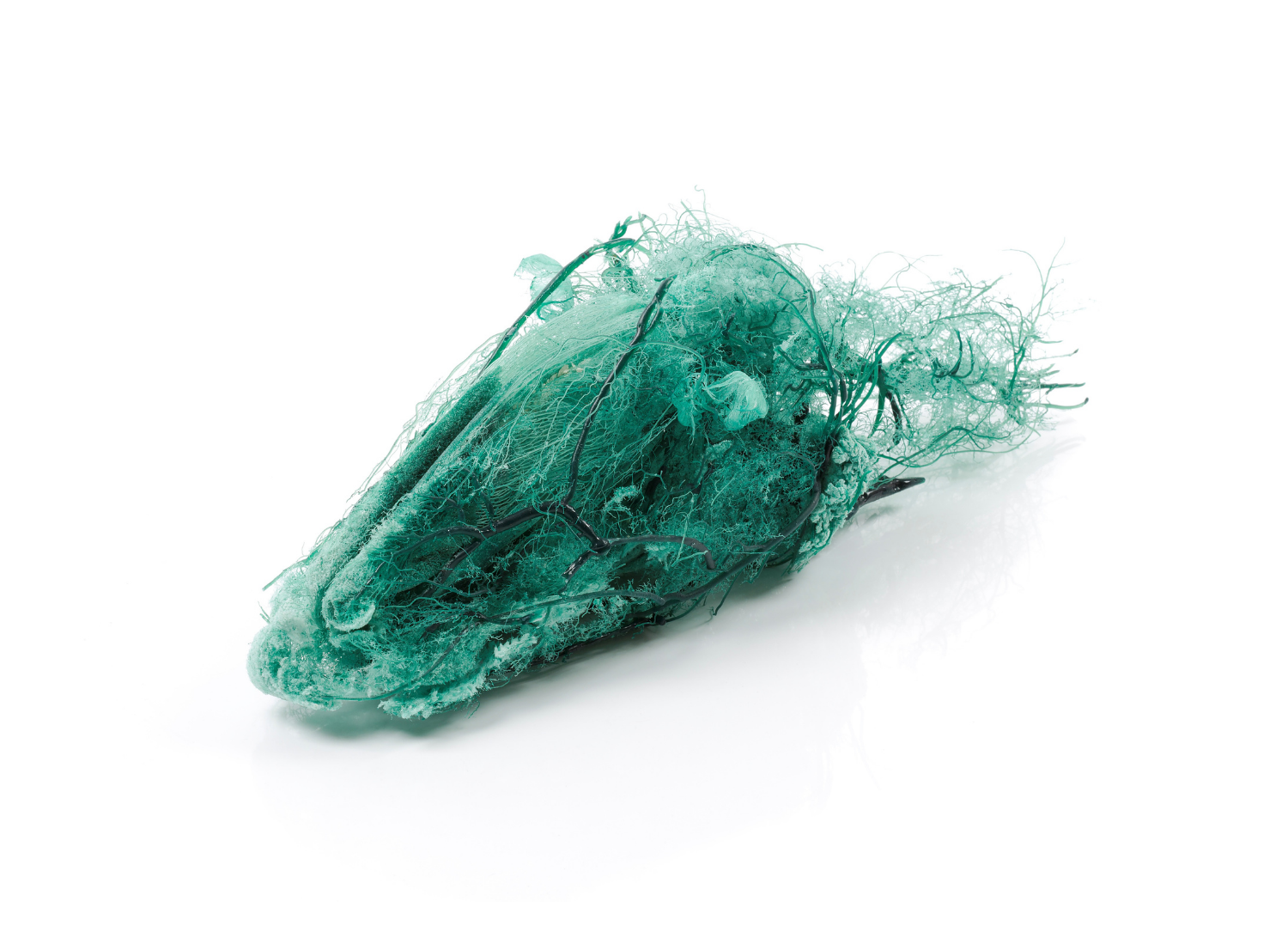 'Keep the sheep' by Tineke Van Der Eecken