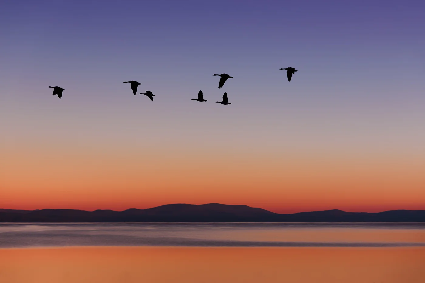 Departure II | 2015 (click to enlarge)