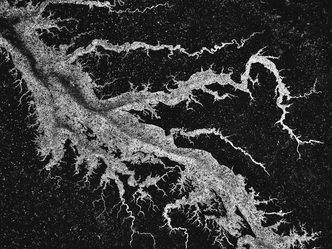 Estuary | 2018