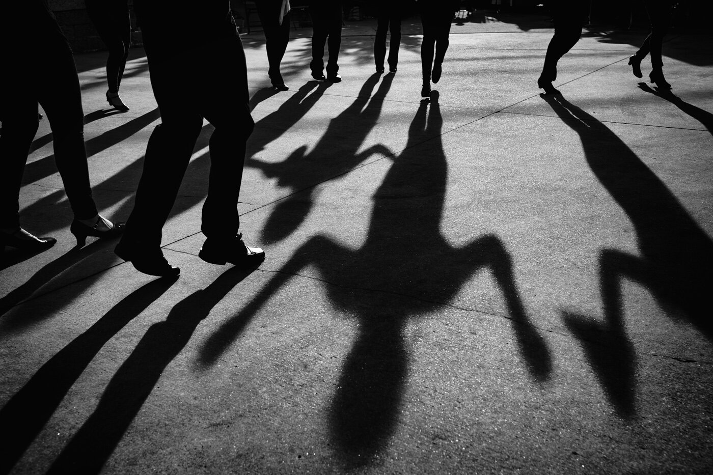 Dance of the Shadows | 2016