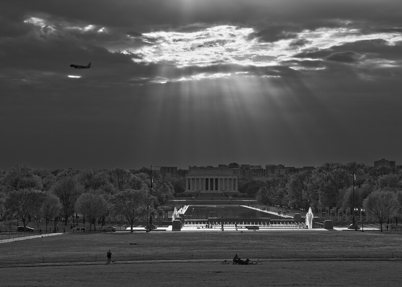 Lux on the Mall | 2020