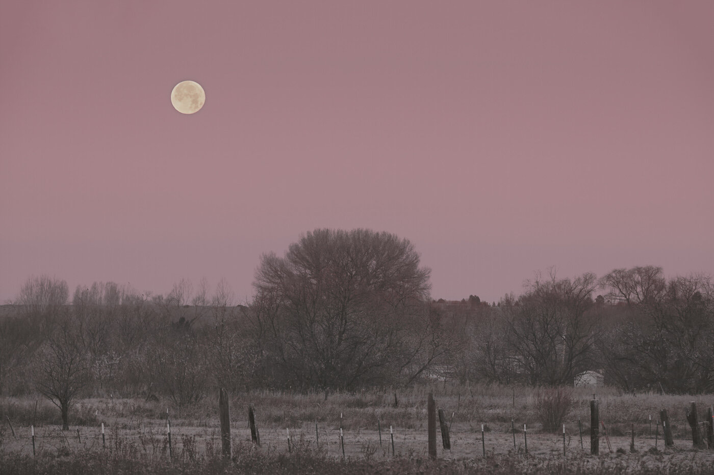 Moonrise in Taos | 2018