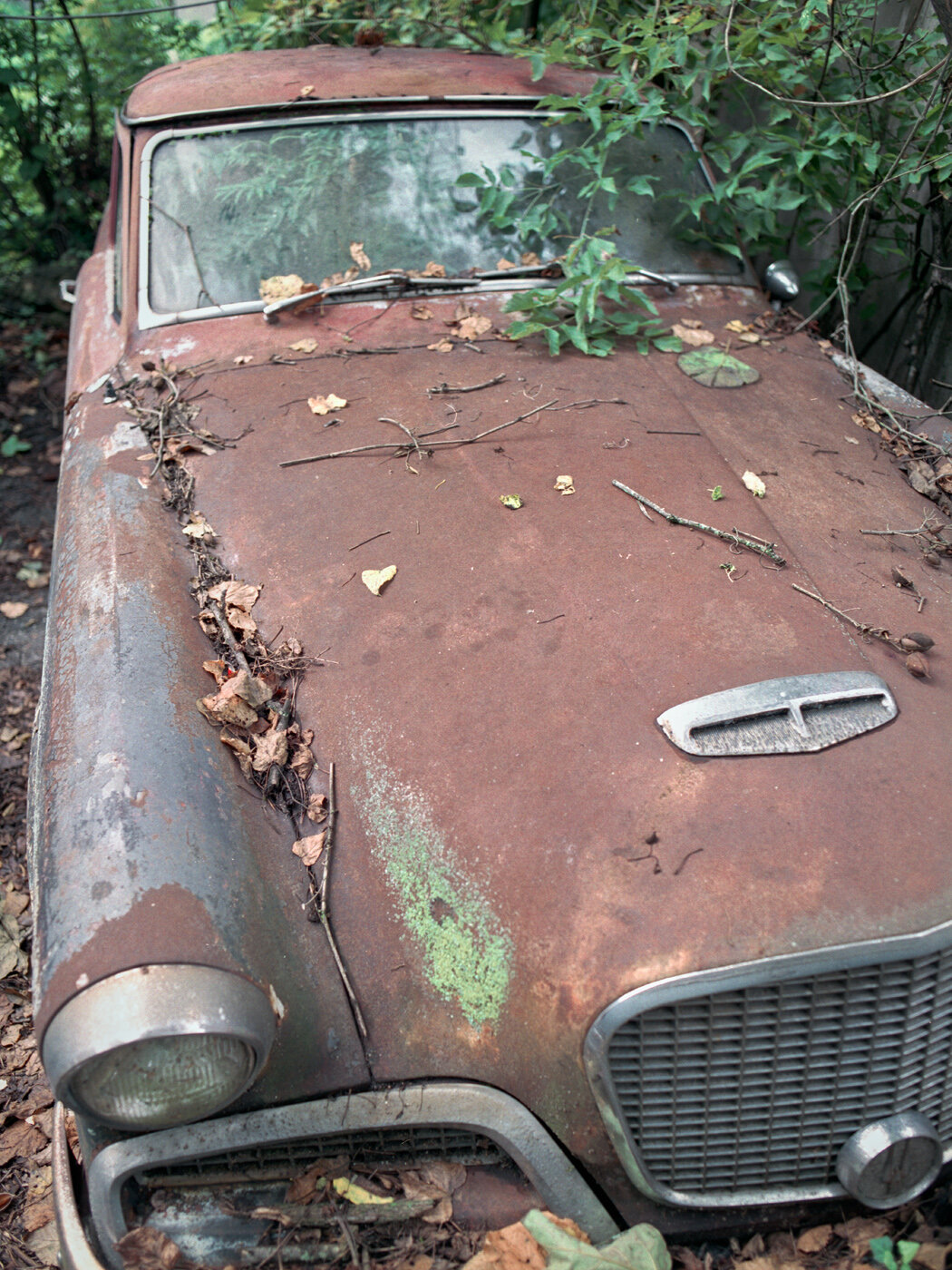 The Forgotten Studebaker | 2020