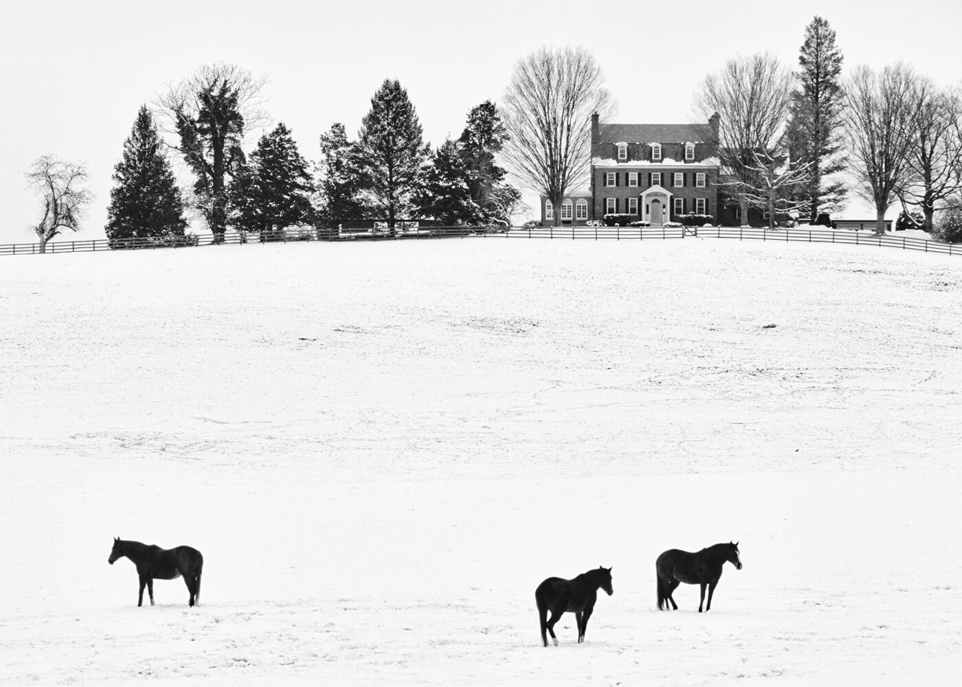 Pastoral Triangle | 2021