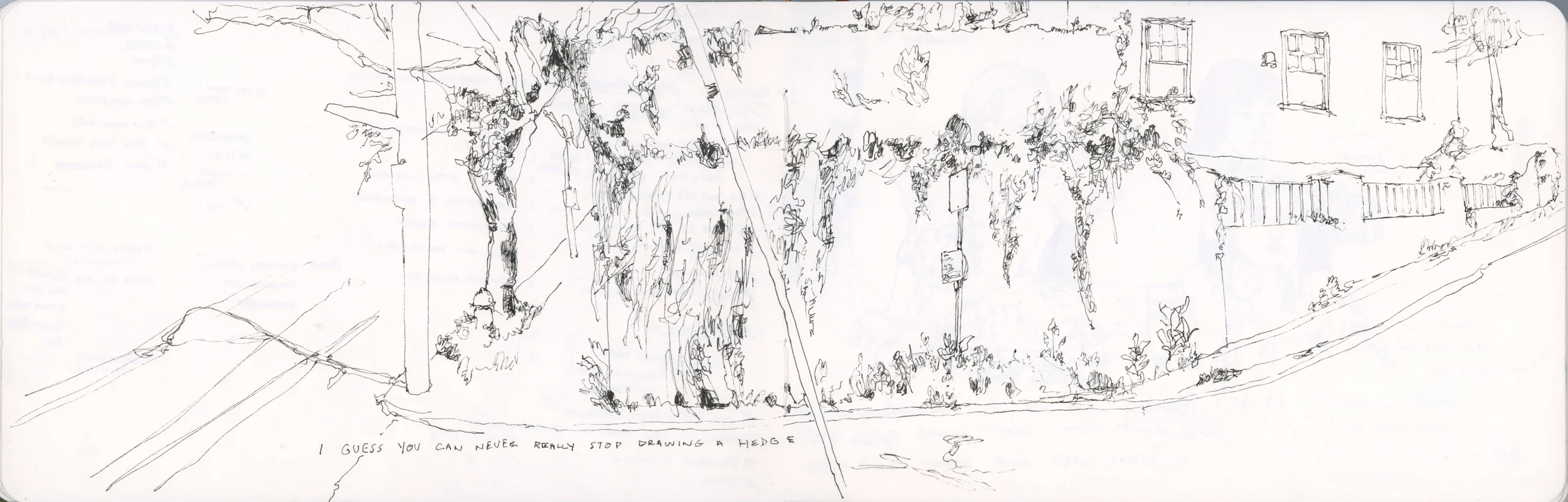 4-hedge.jpg
