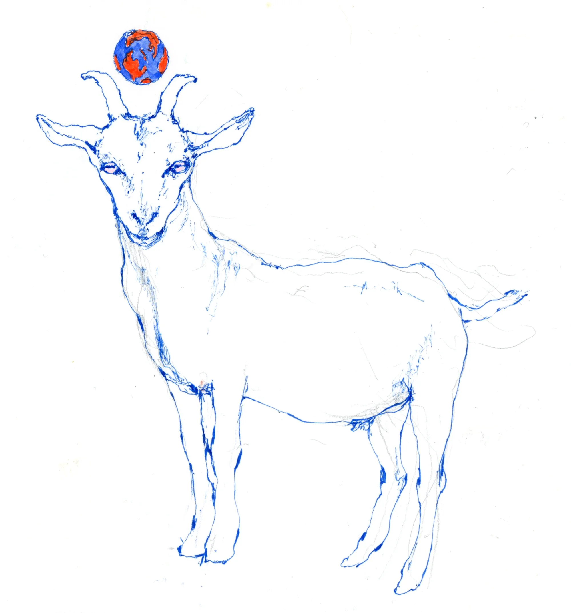 jacobin-spot-goat.jpg