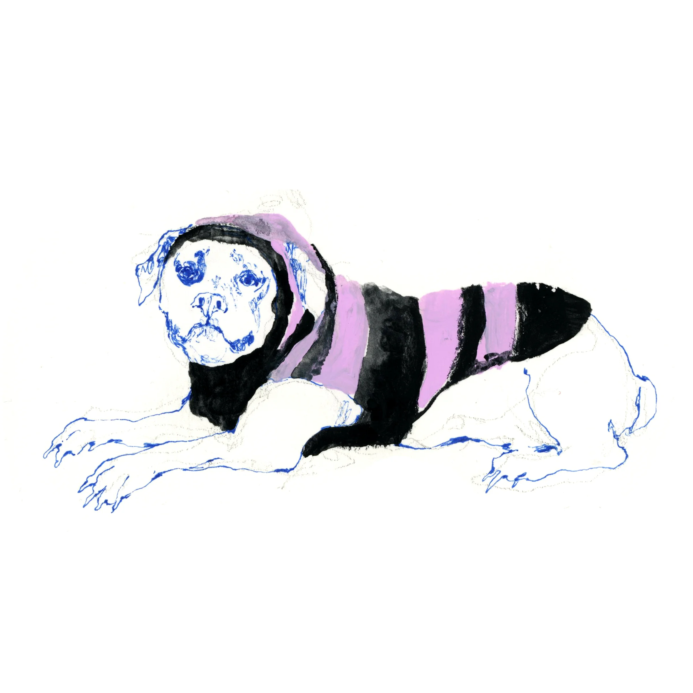 MCQ-winter-6.jpg