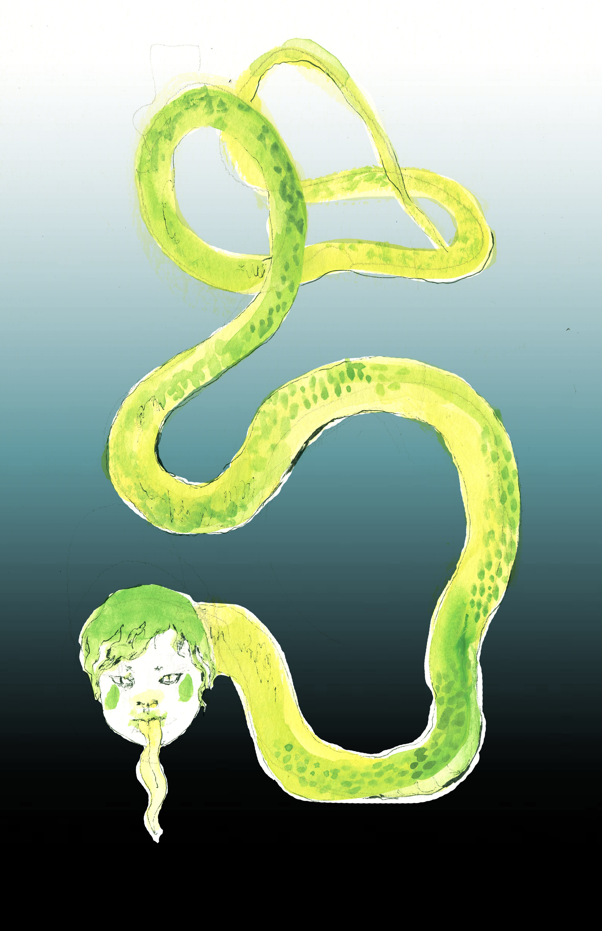 6-snake.jpg