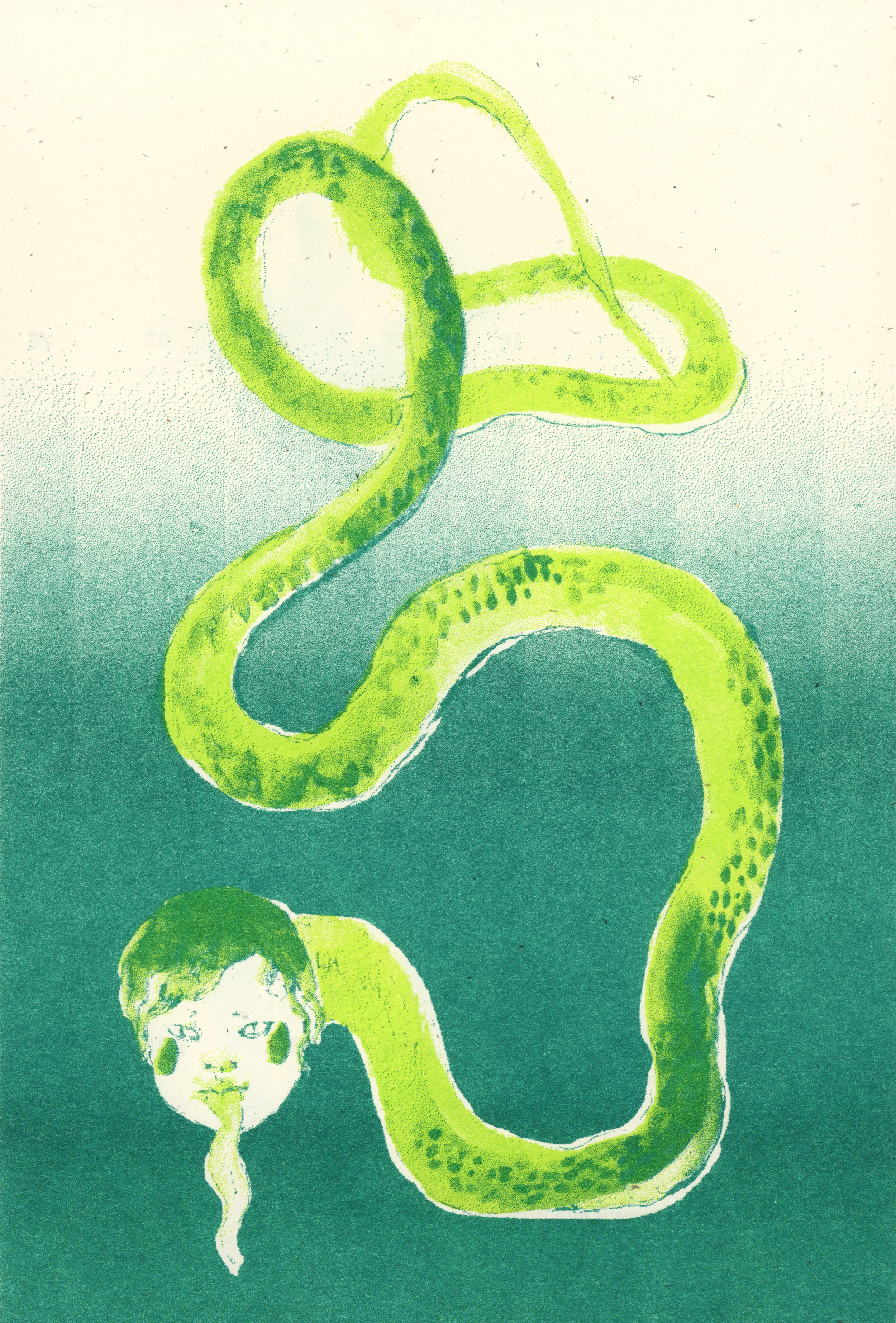 6-snake-riso.jpg