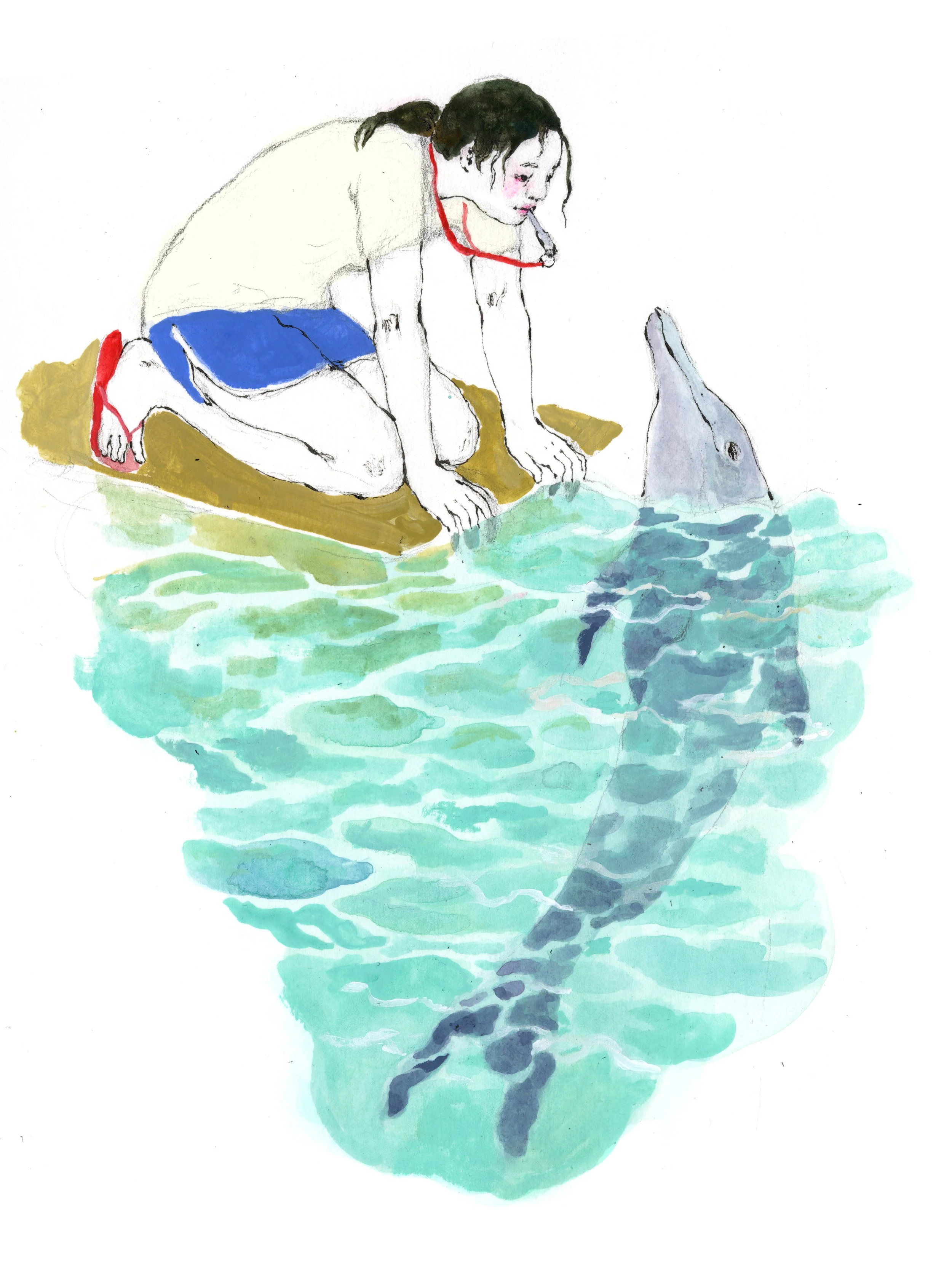 dolphin.jpg