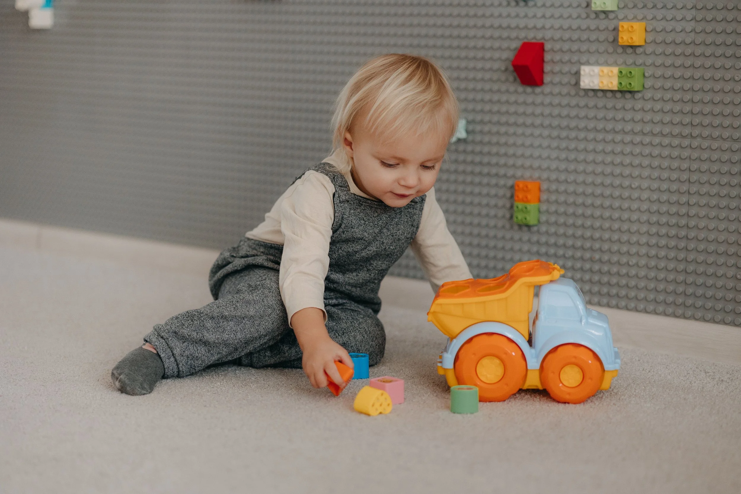 pexels-polesietoys-27661860.jpg