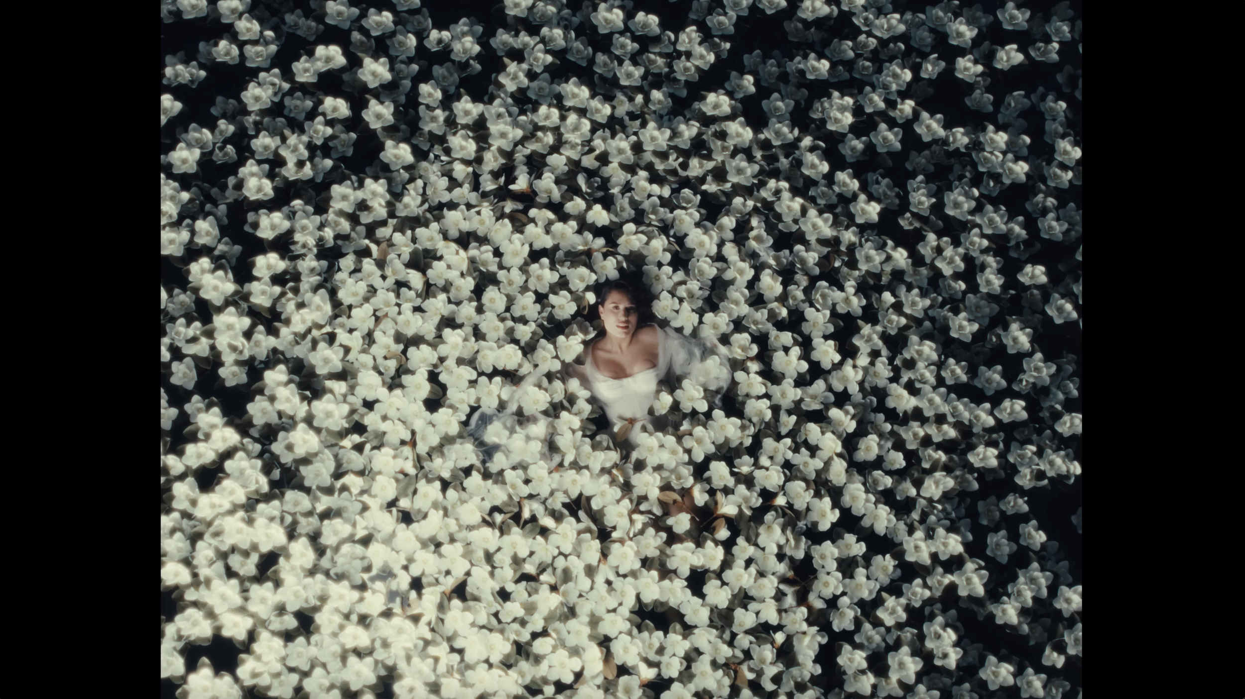 Screenshot 2026-02-05 at 4.22.57 PM.png