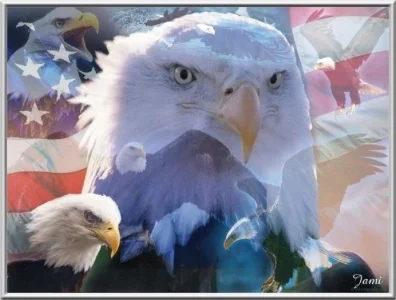 Jami_eagles3.jpg