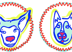 2025-07-20.png