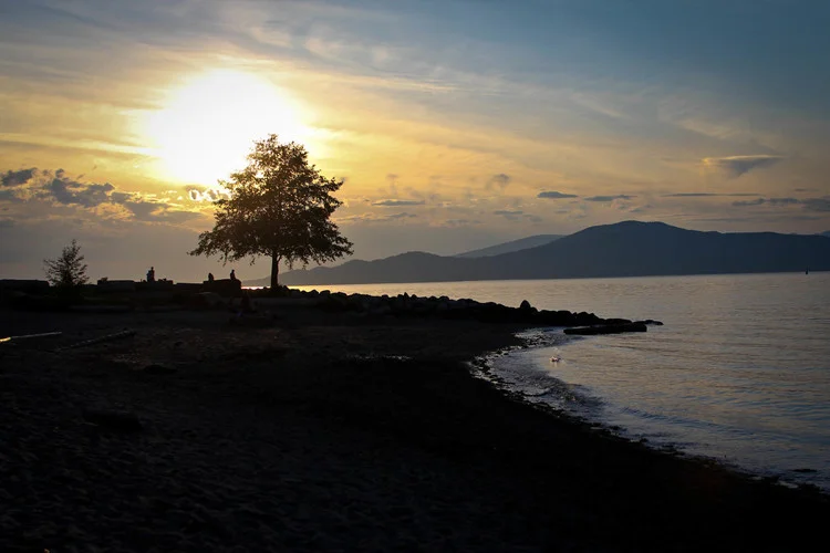 Why We Practice Public Law