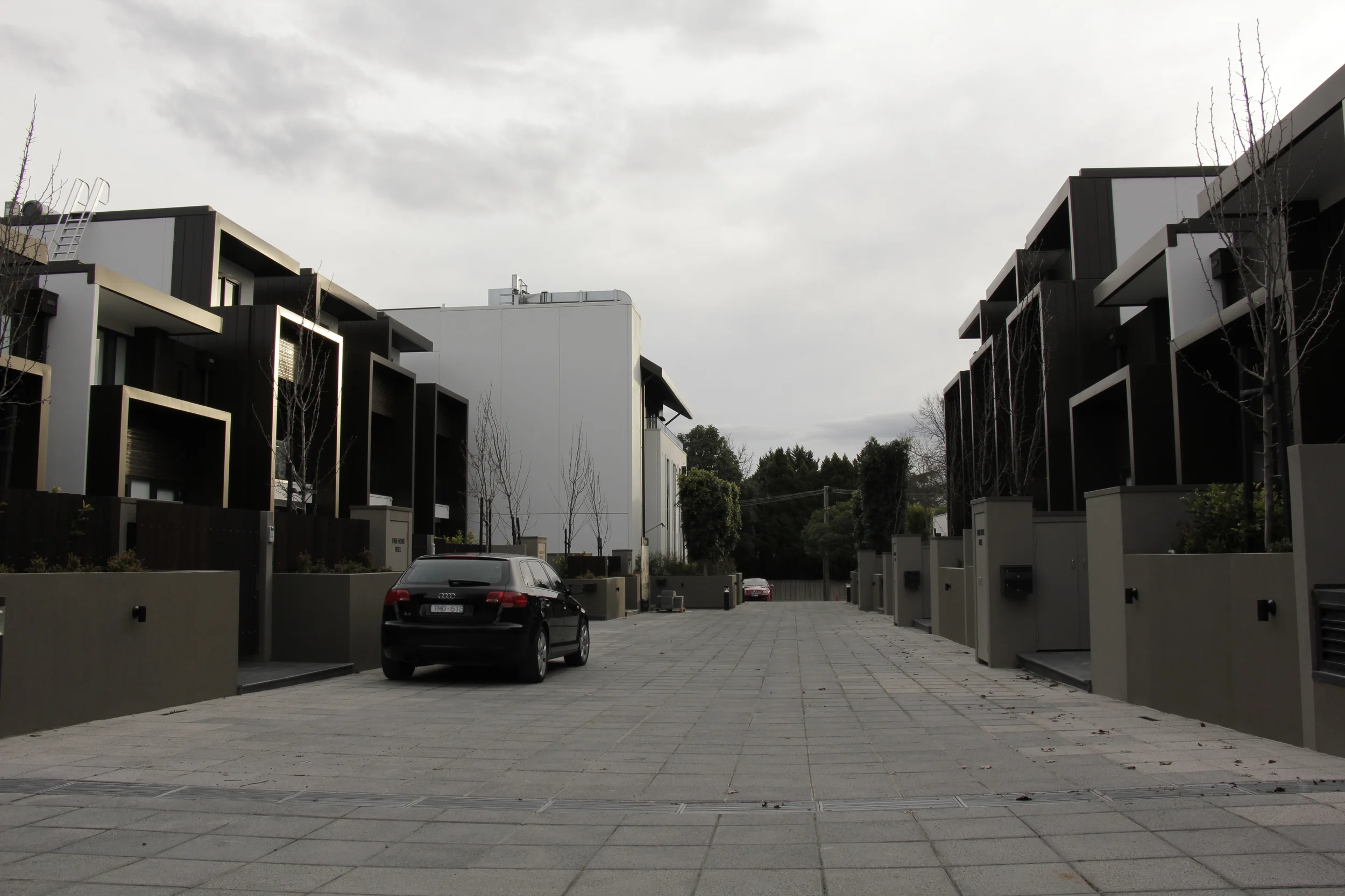 _MG_9577.JPG