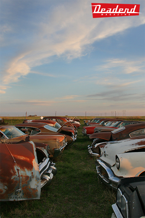 Field of dreams..