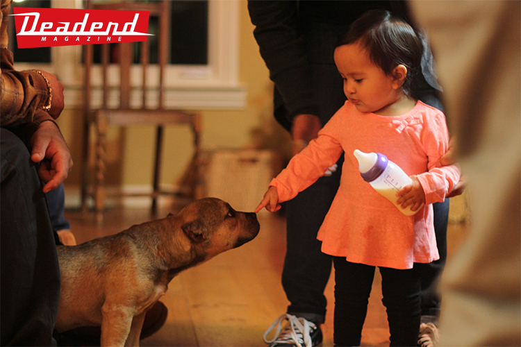 Some of the youngest Deadend Familia members.