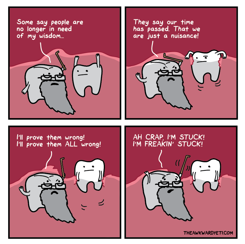 Blog - Northbridge Dentists