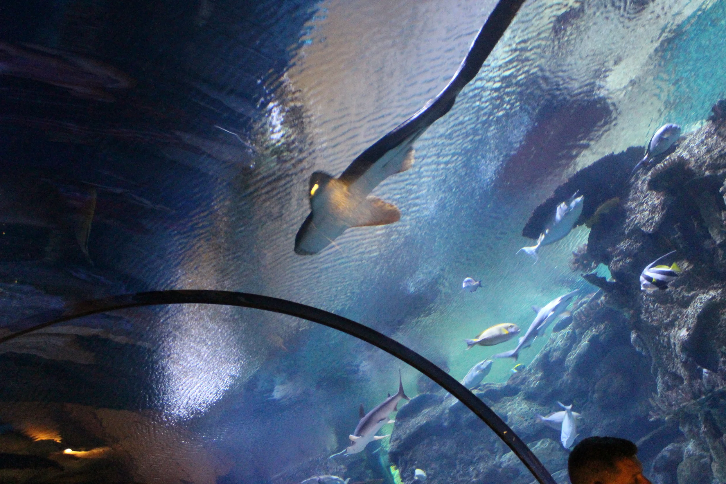IMG_3348.JPG