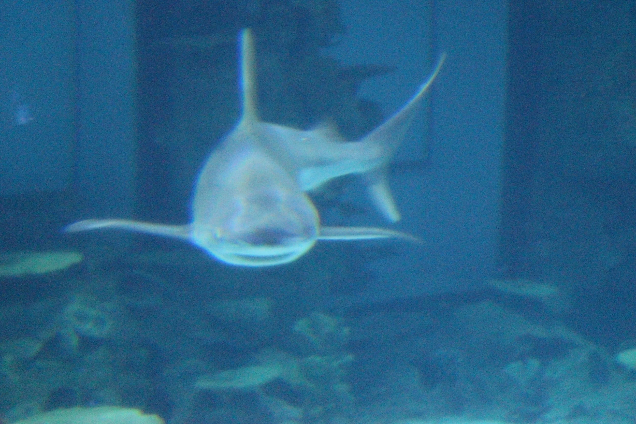 IMG_3465.JPG