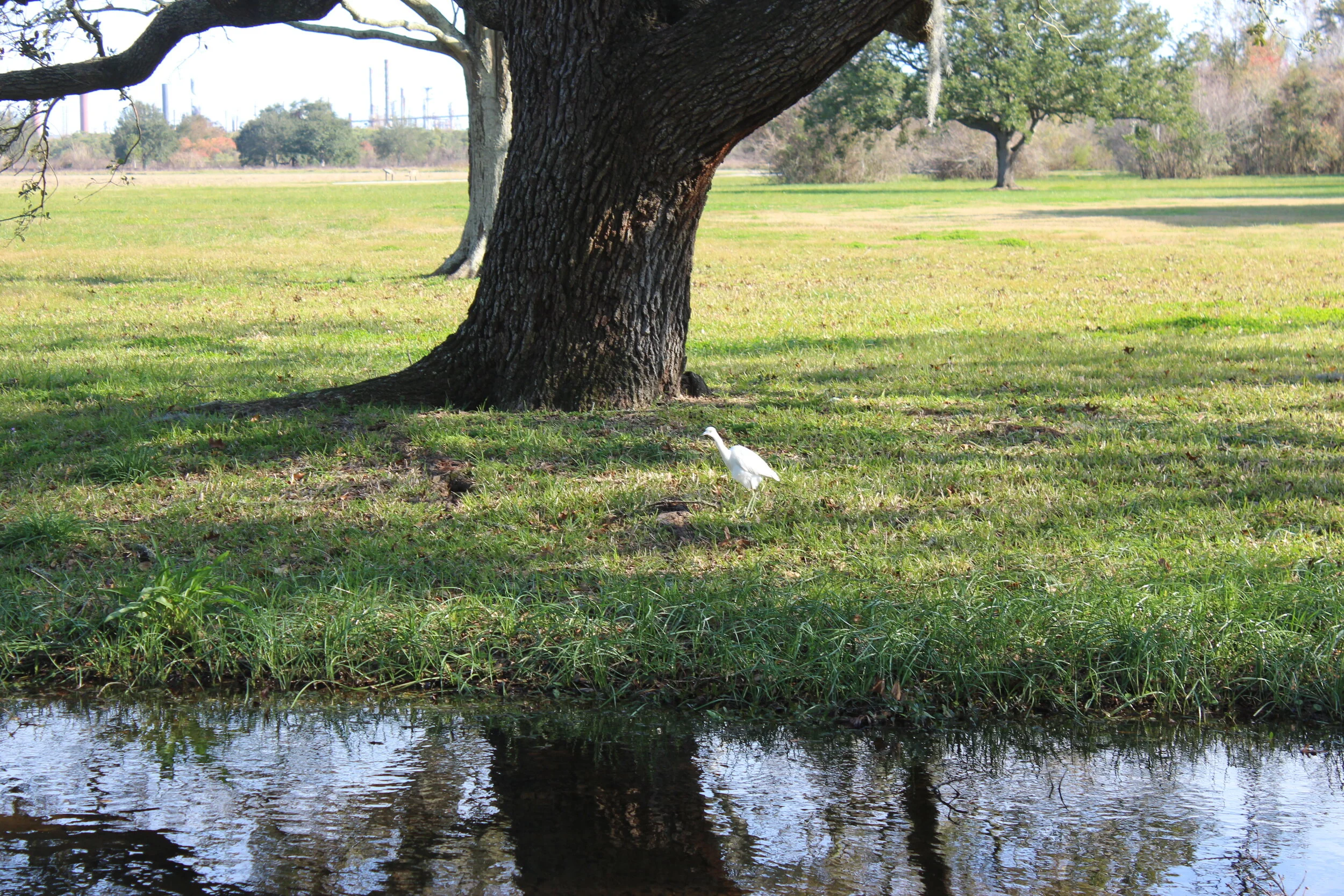 IMG_0091.JPG