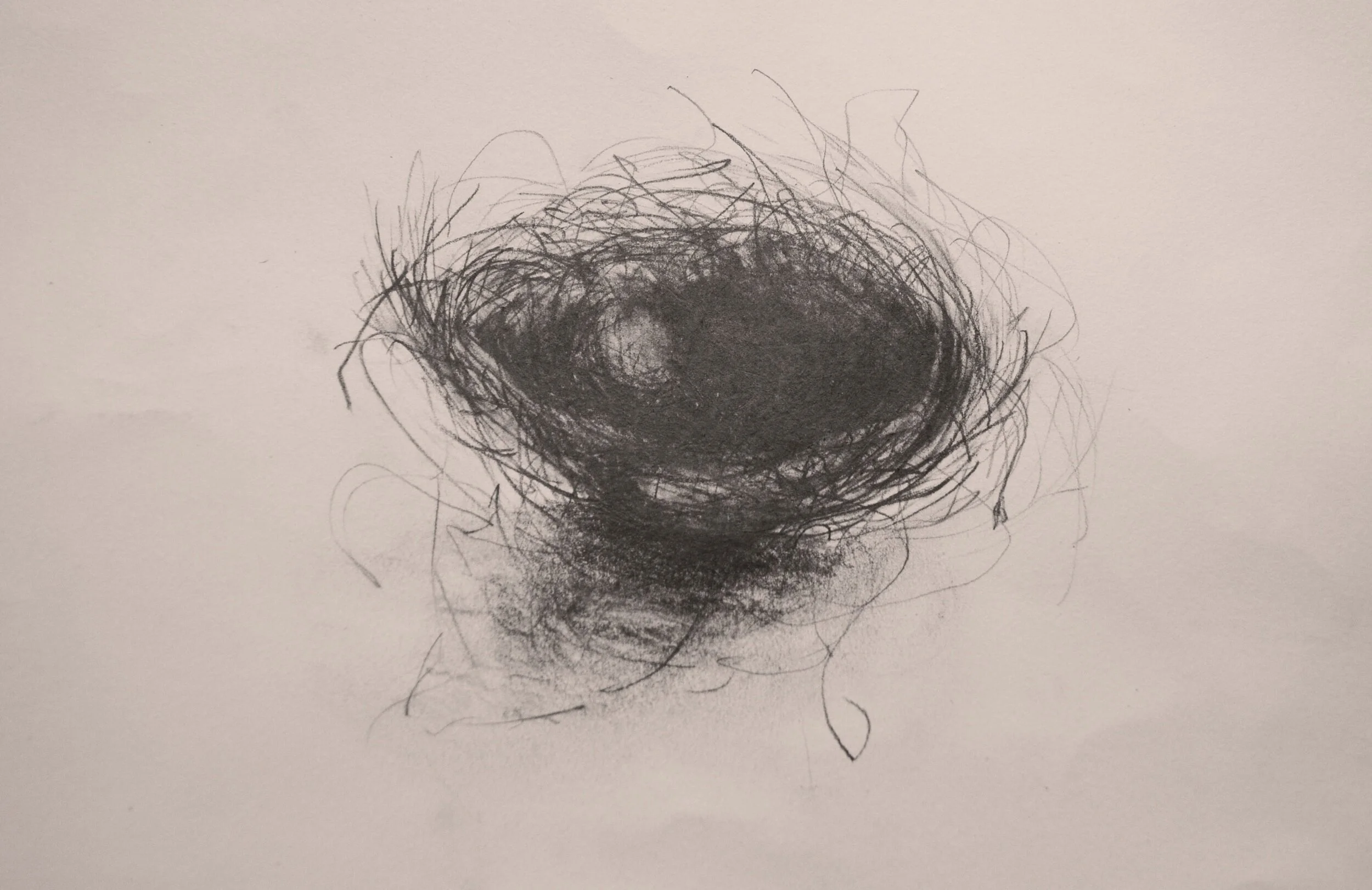 NEST #4 