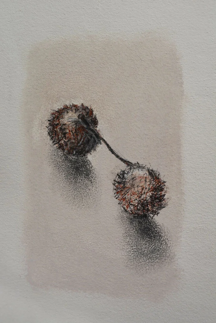 Seed Pod #2