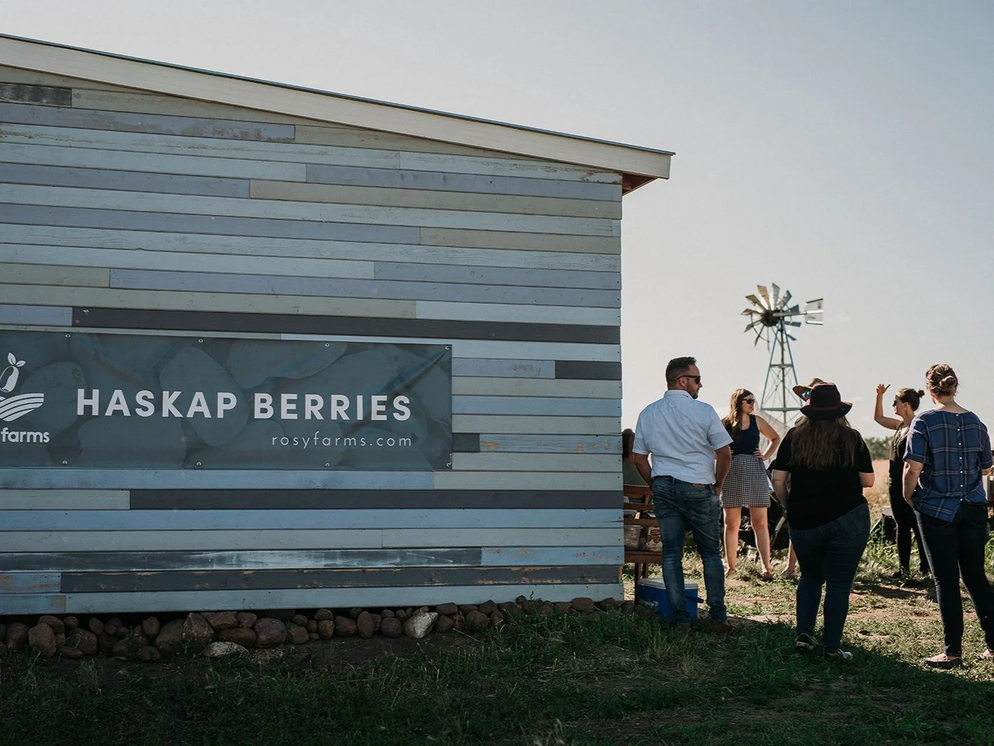 Our Haskap Berry Farm — Rosy Farms