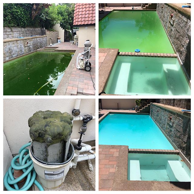 Fusion Pools Service  Devision helping Realtors take a green pool back to blue before the showing of a open house.