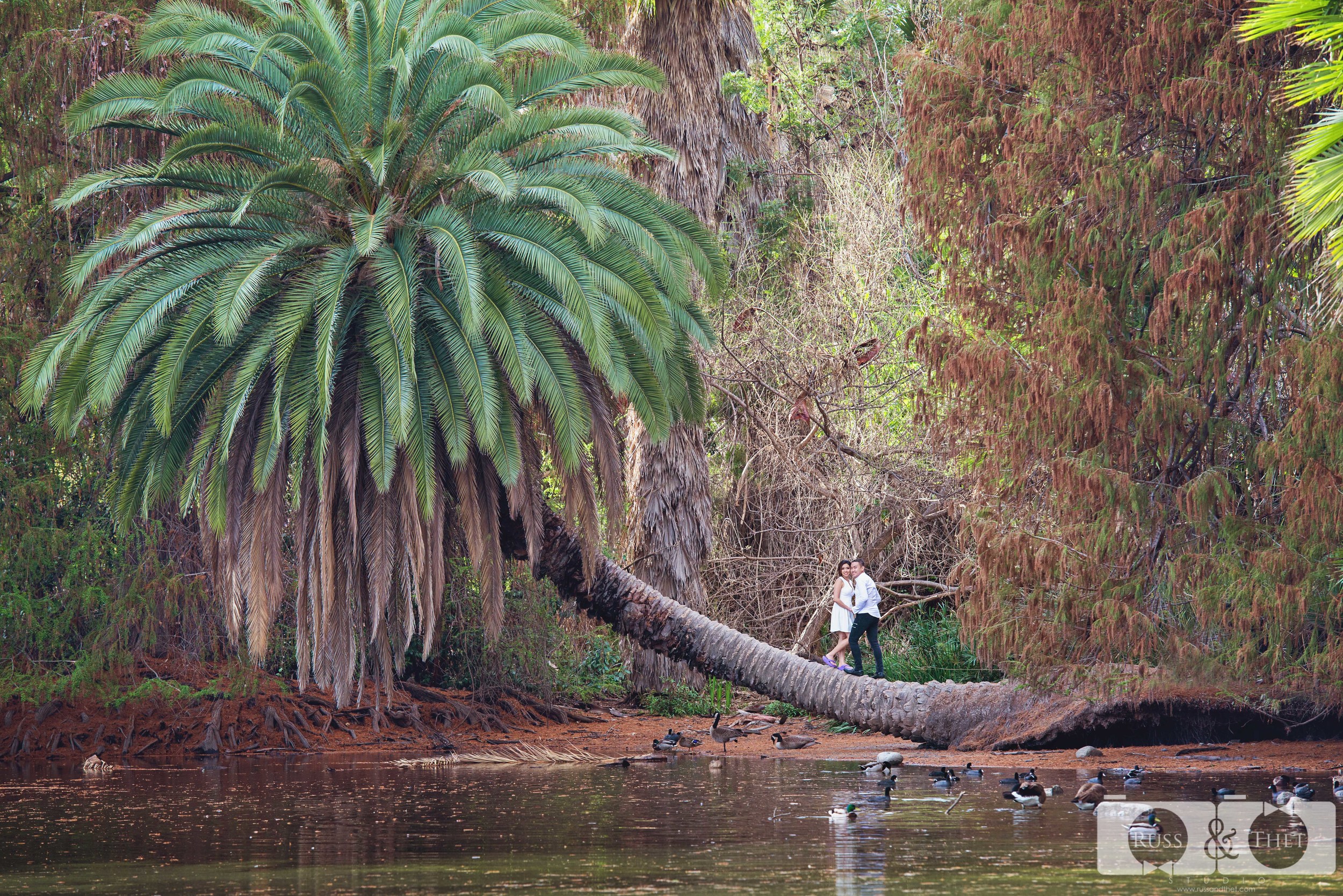 LA-arboretum-engagement-session-18.JPG