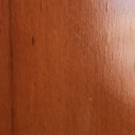 ezgif.com-video-to-gif (2).gif