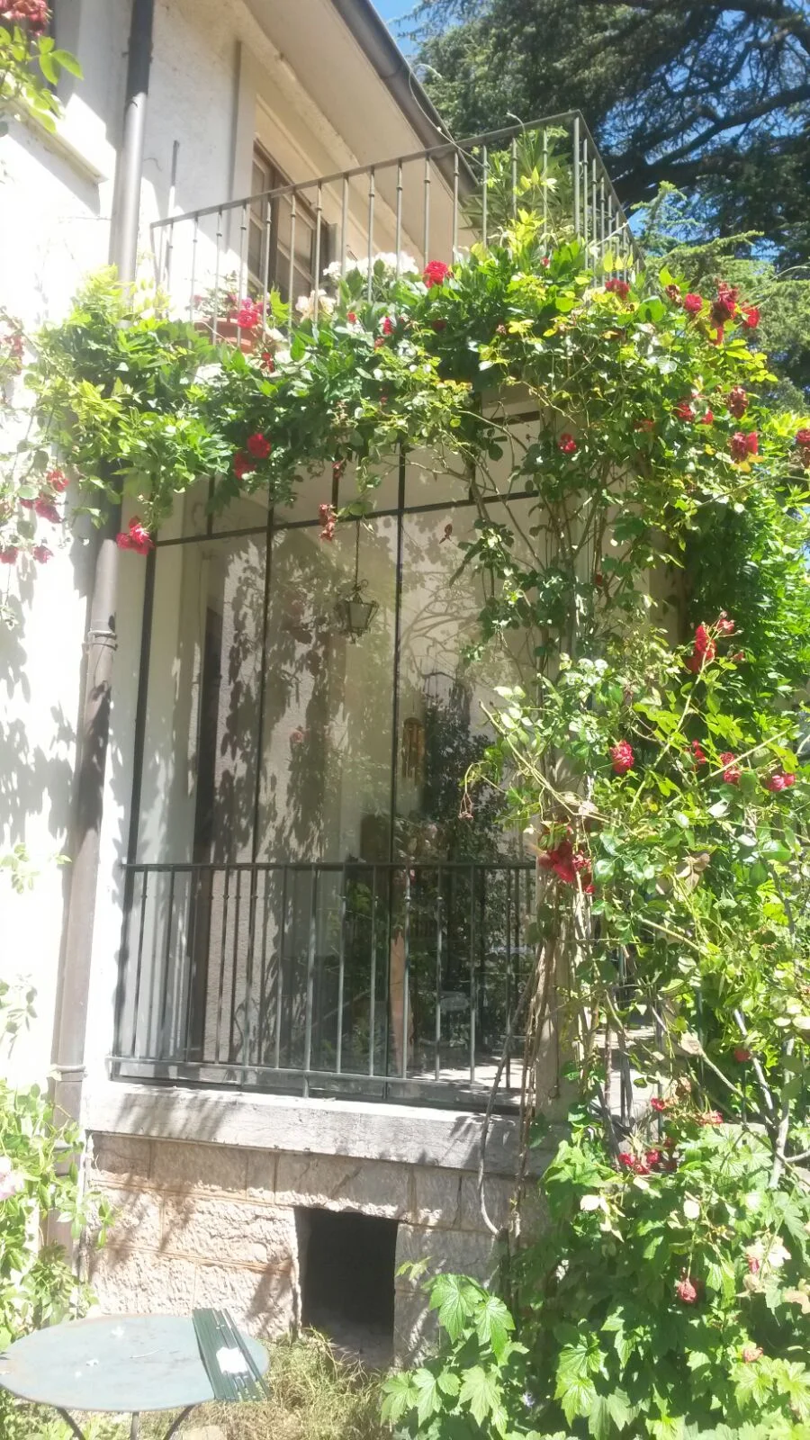 IMG-20160623-WA0003.jpg