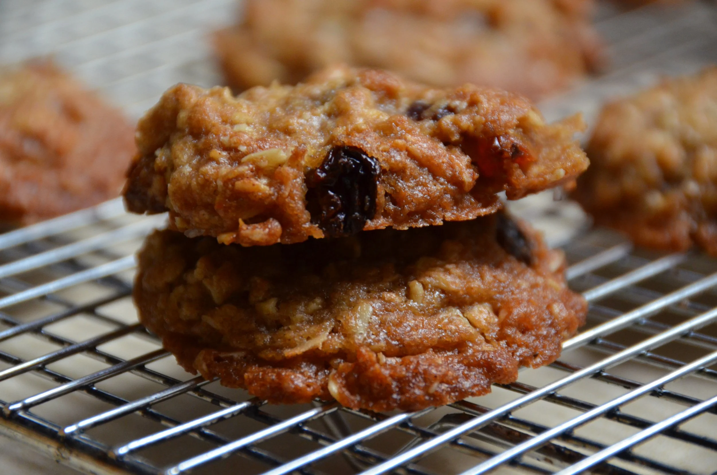 MITM Oatmeal Cookies.JPG