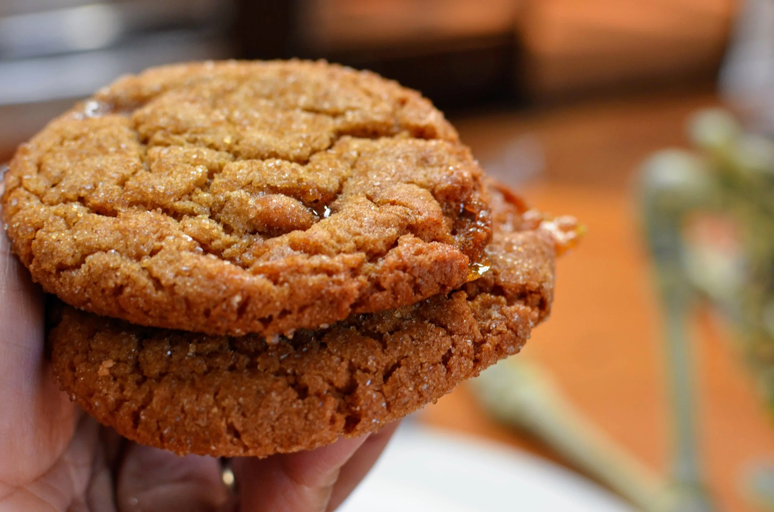 MITM Molasses Cookies in my Hand.JPG