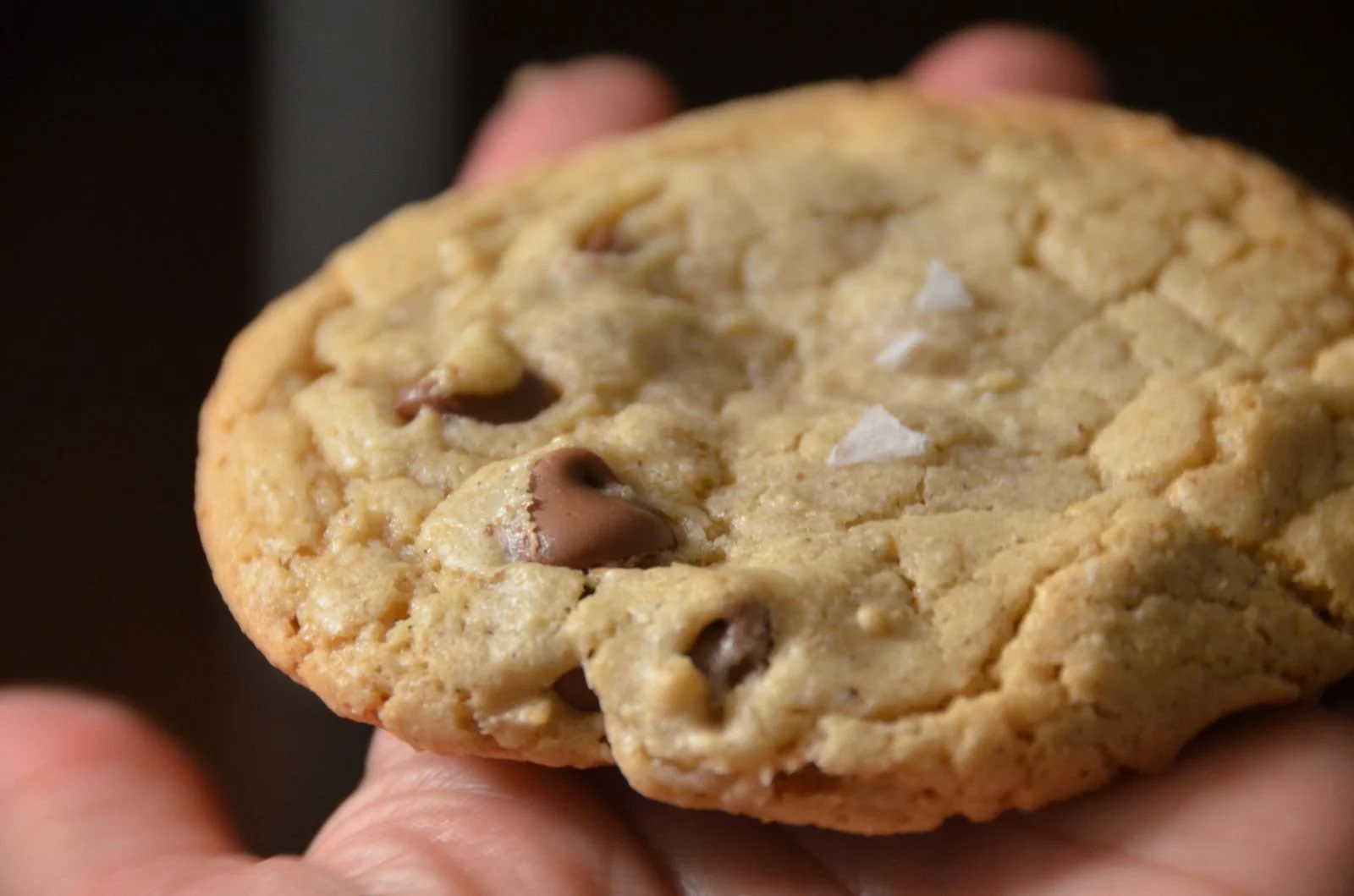 Triple Almond Milk Chocolate (GF)